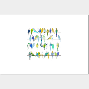 Get your Budgies in a Row Posters and Art